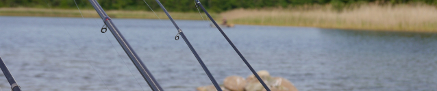 Gara di pesca in amicizia alla trota al laghetto di Candelo - 09 Febbraio 2020