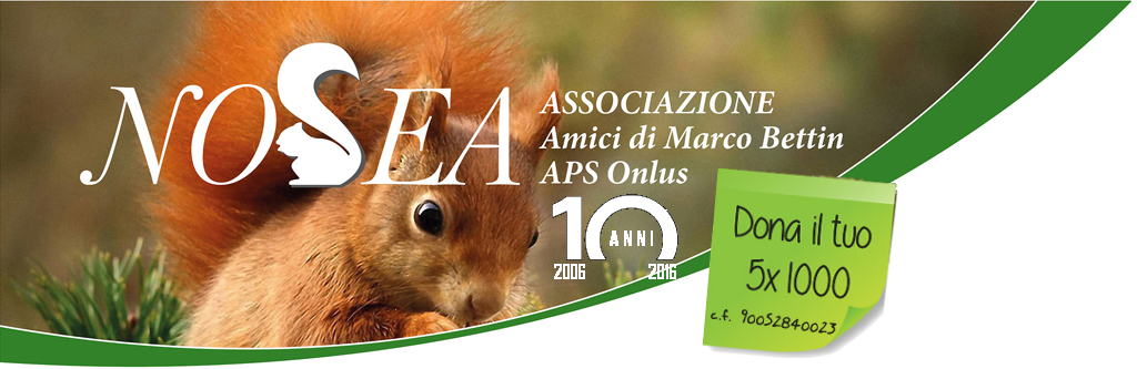 Associazione Nosea Amici di Marco Bettin APS Onlus