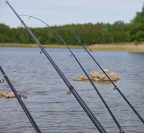 “Pesca in amicizia alla trota” - Domenica, 09 Febbraio 2020 - dalle ore 09.00 alle 12.30 - Laghetto di pesca sportiva